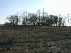 The Property before construction