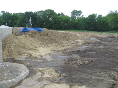 Basement Muddy