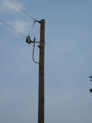 New Power Pole, Transition to buried
