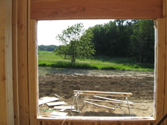View out Dining Room Window