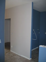 Kitchen and Pantry Walls Painted