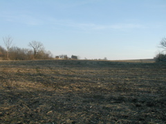 View Looking North on the Property